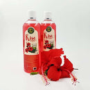 Rise Hibiscus Shampoo
