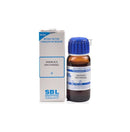 Angelica Archangelica Mother Tincture Q