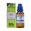 Agnus Castus Dilution 30 CH