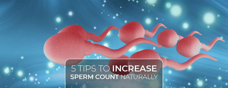 5 Simple Tips to Increase your Sperm Count Naturally