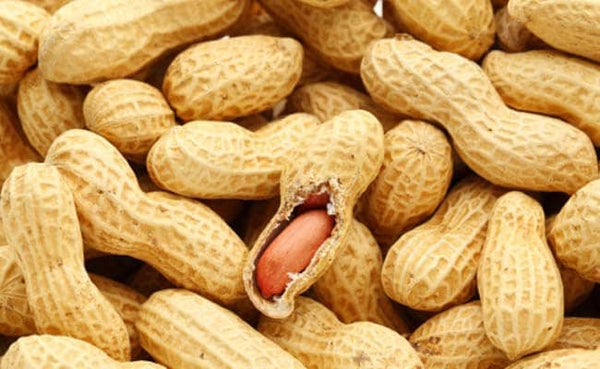 Peanuts For Weight Loss: Here's How Peanuts May Help You Shed Kilos