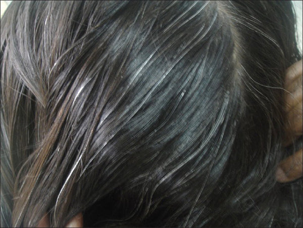 A natural oil & Shampoo to arrest premature graying of hair!