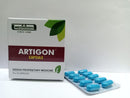 ARTIGON