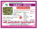Kaththa Powder