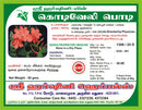Kodiveli / Wild Leadwort / Chitrak Powder