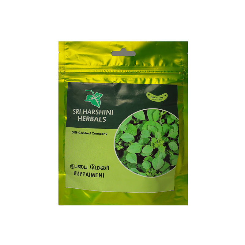 Kuppaimeni ilai / Indian Acalypha / Haritamanjari Powder