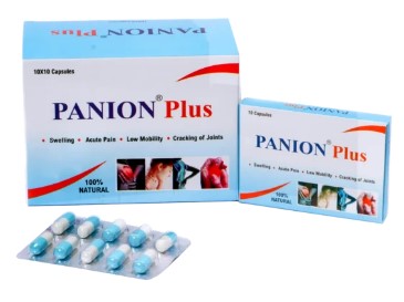 Panion Plus Capsules