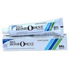 Homeodent Toothpaste (Blue)