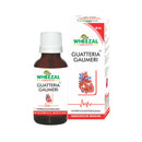 Guatteria Gaumeri Drops