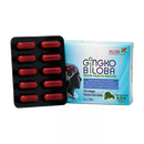 Gingko Biloba 120mg