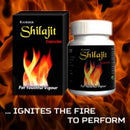 Shilajit Capsules 